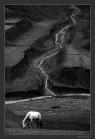 photo : ТВОРЕНИЕ ПРИРОД... | photographer : EMIL AGAEV