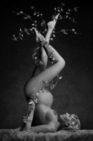 photo : Дерево жизни | photographer : Ilona Pulkstene