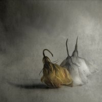 photo : ........ | photographer : Magdalena Wanli