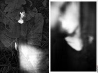 photo : Four Seasons | photographer : el