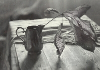 photo : С листом каштана | photographer : Ольга Власова