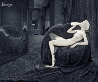 photo : contrasts and s... | photographer : Kassandra (ЕлкаВизерская)