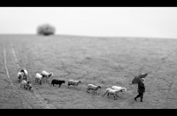photo : 1+11 | photographer : ARGO
