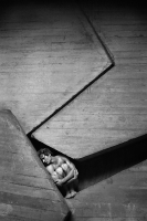 photo : of a series of ... | photographer : Муха Наталия