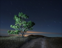 photo : Night walks on ... | photographer : Aleksandr Nesterovskyi