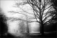 photo : Мартовский туман | photographer : babachella