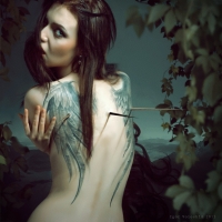 photo : thorns | photographer : Igor Voloshin