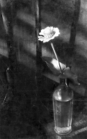 photo : *** | photographer : Лора Михайленко