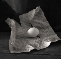 photo : . | photographer : Vladimir Dranitsin