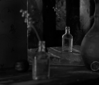 photo : Сон в летнюю ночь | photographer : Olga Ageeva