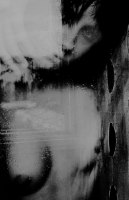 photo : ... | photographer : Юля Никонова