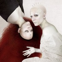 photo : Flowers of Pain. | photographer : Karina Marandjian