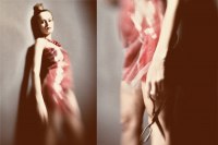 photo : ... | photographer : Summoning