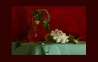 photo : patissonate | photographer : figasmakom