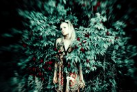 photo : 1484 | photographer : Yuri Pritisk