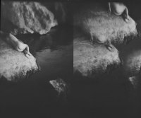 photo : to dream you | photographer : Alena Vladyko