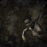 photo : 1513 | photographer : Yuri Pritisk