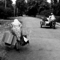 photo : Сельские будни | photographer : Павел Астрахов