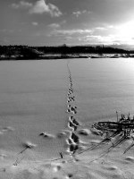photo : Идём... | photographer : Павел Астрахов