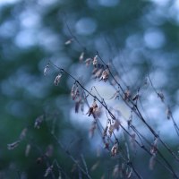 photo : ○ | photographer : David Galstyan