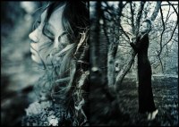 photo : 1550 | photographer : Yuri Pritisk