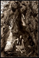 photo : *** | photographer : Carmel