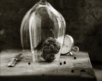 photo : под колпаком | photographer : Вадим Хохлов