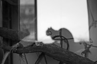 photo: ○