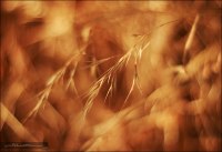 photo : > | photographer : SHD