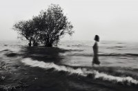 photo : ○ | photographer : David Galstyan