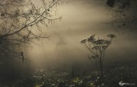 photo: ...