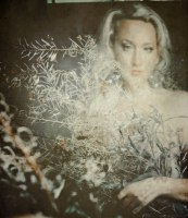 photo : 1587 | photographer : Yuri Pritisk