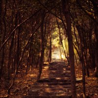 photo : Stairway to hea... | photographer : Alona Spectorman