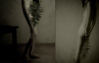 photo : 1614 | photographer : Yuri Pritisk