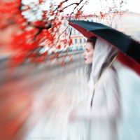 photo: autumn hokku