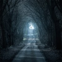 photo : Wandering shadow | photographer : Leszek Bujnowski