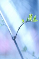 photo : ... | photographer : Lasha Gigauri
