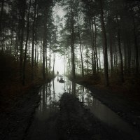 photo : phobia | photographer : Leszek Bujnowski