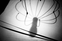 фото : - paper spider - | фотограф : zeroin