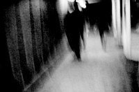 фото : - shadows - | фотограф : zeroin