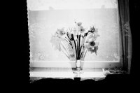 фото : - good morning - | фотограф : zeroin