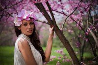 photo : spring | photographer : tsurkanu petru