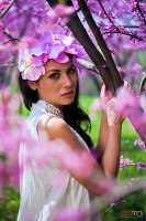 photo : spring | photographer : tsurkanu petru