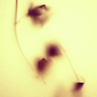 photo : Полет Экзюпери... | photographer : Alona Spectorman