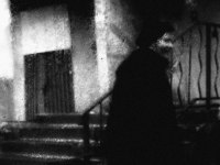 фото : - in rain - | фотограф : zeroin