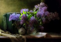 photo : расцвела сирень... | photographer : TOM