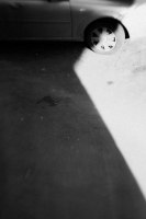фото : - ... - | фотограф : zeroin