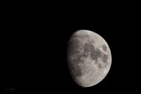 photo : moon | photographer : tsurkanu petru