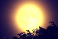 photo : luna | photographer : tsurkanu petru