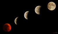photo : eclipse moon 15... | photographer : tsurkanu petru
